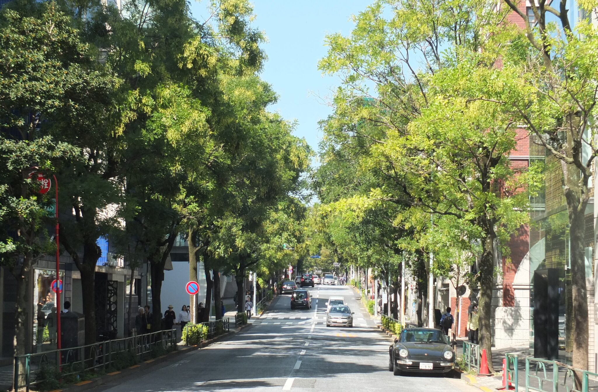 みゆき通り | 南青山NAVi